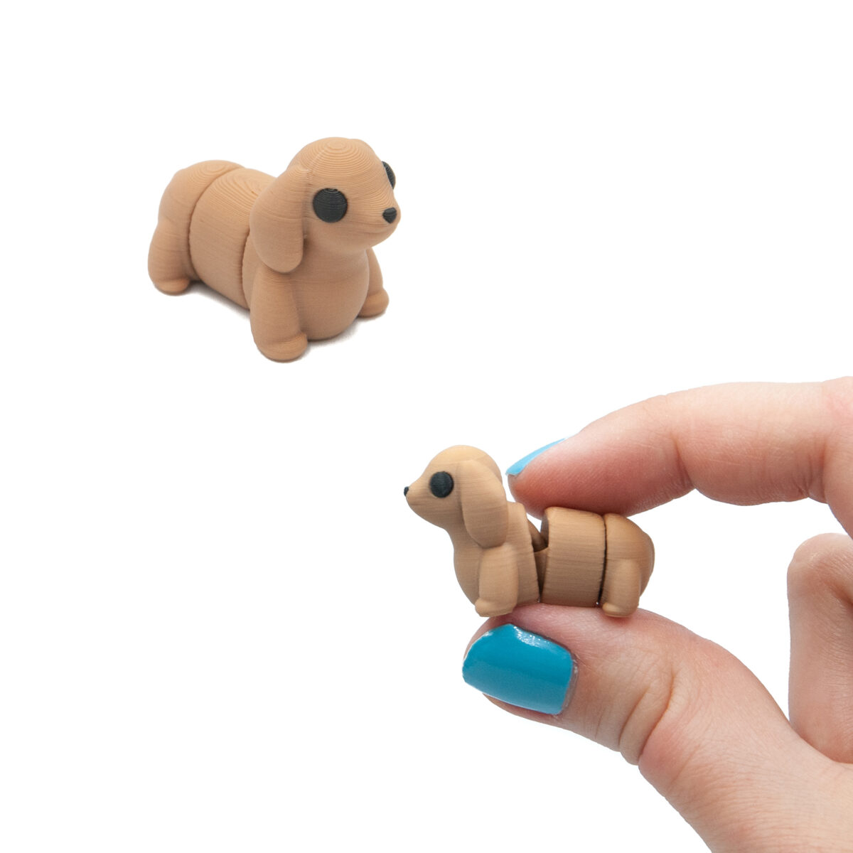 Beżowy Jamnik Pies Minis