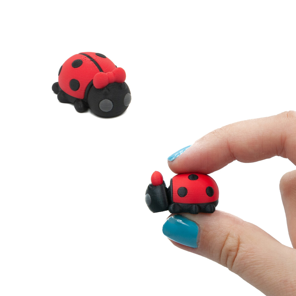 Biedronka Z Kokardką Minis