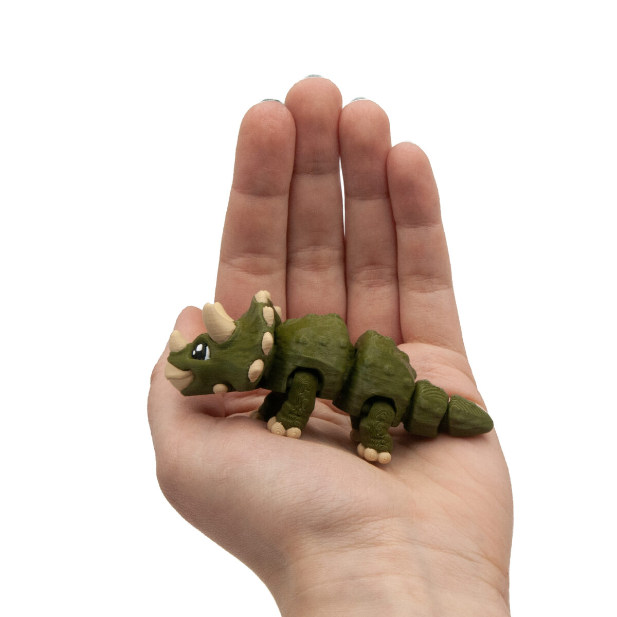 Baby Triceratops