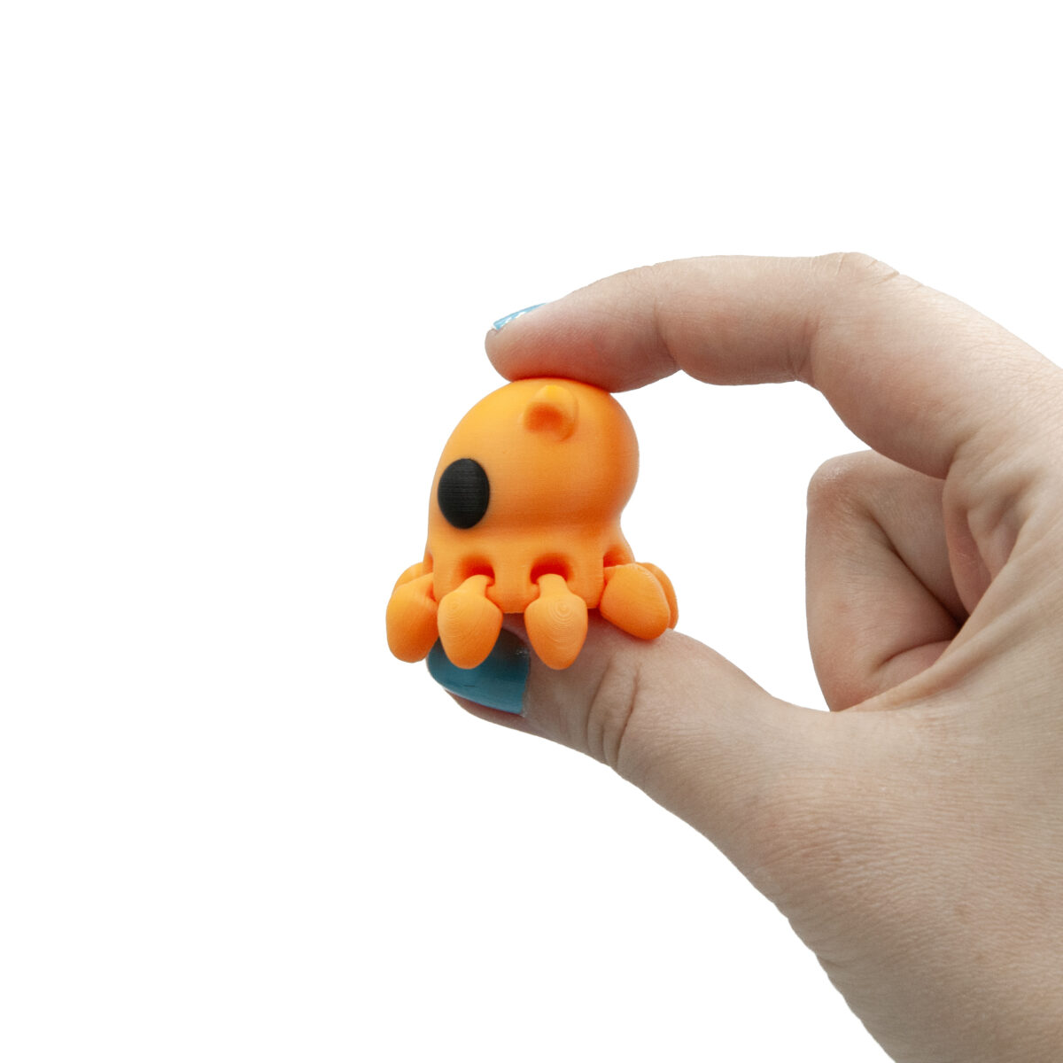 Ośmiornica Dumbo Minis
