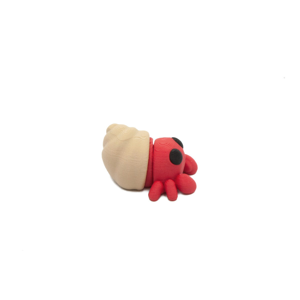 Krab Pustelnik Minis