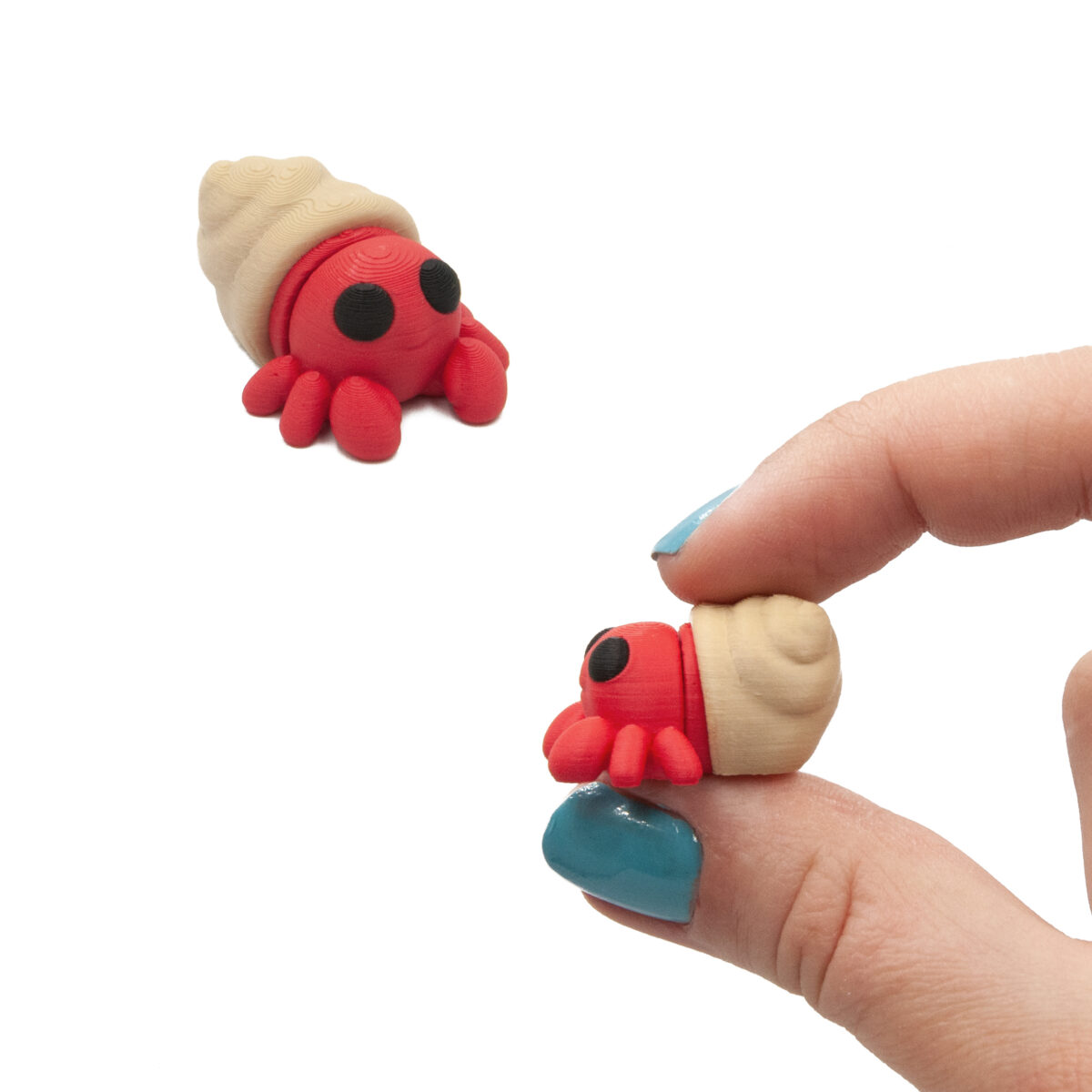Krab Pustelnik Minis