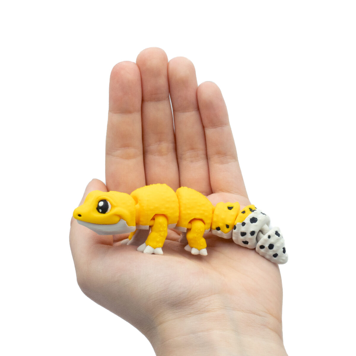 Baby Gekon Lamparci