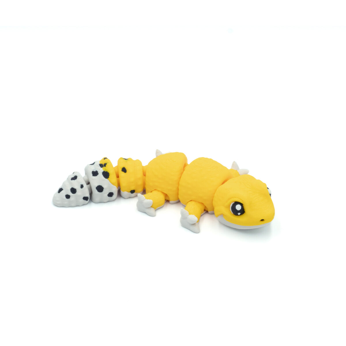 Baby Gekon Lamparci