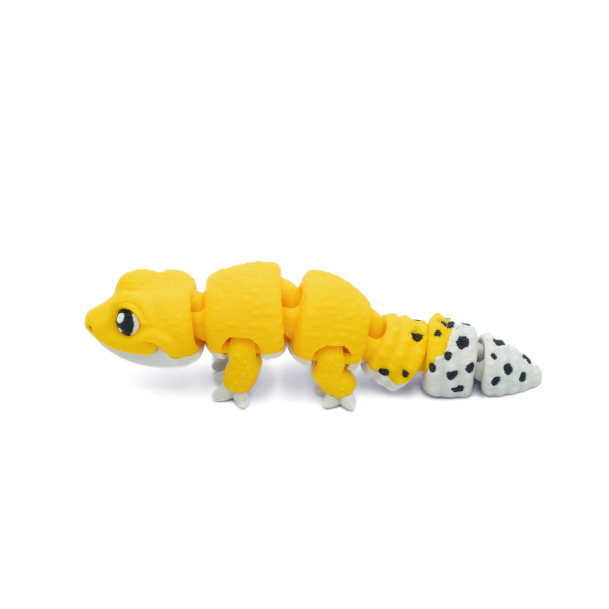 Baby Gekon Lamparci