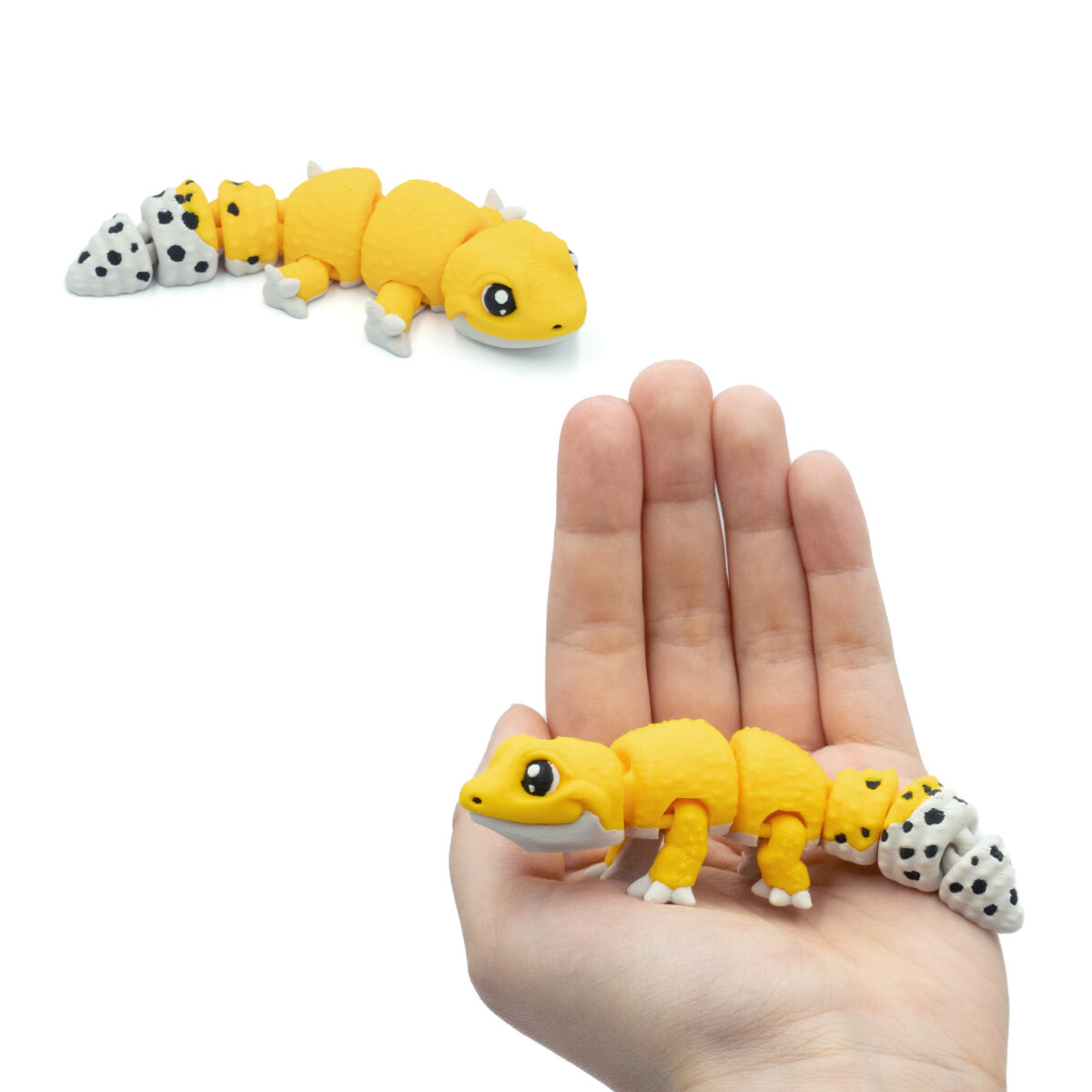 babylampart4 Baby Gekon Lamparci