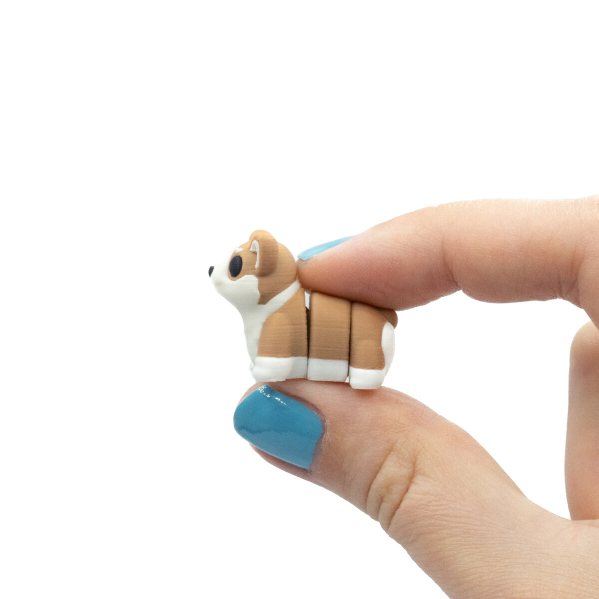 corgii1 Corgi Pies Minis
