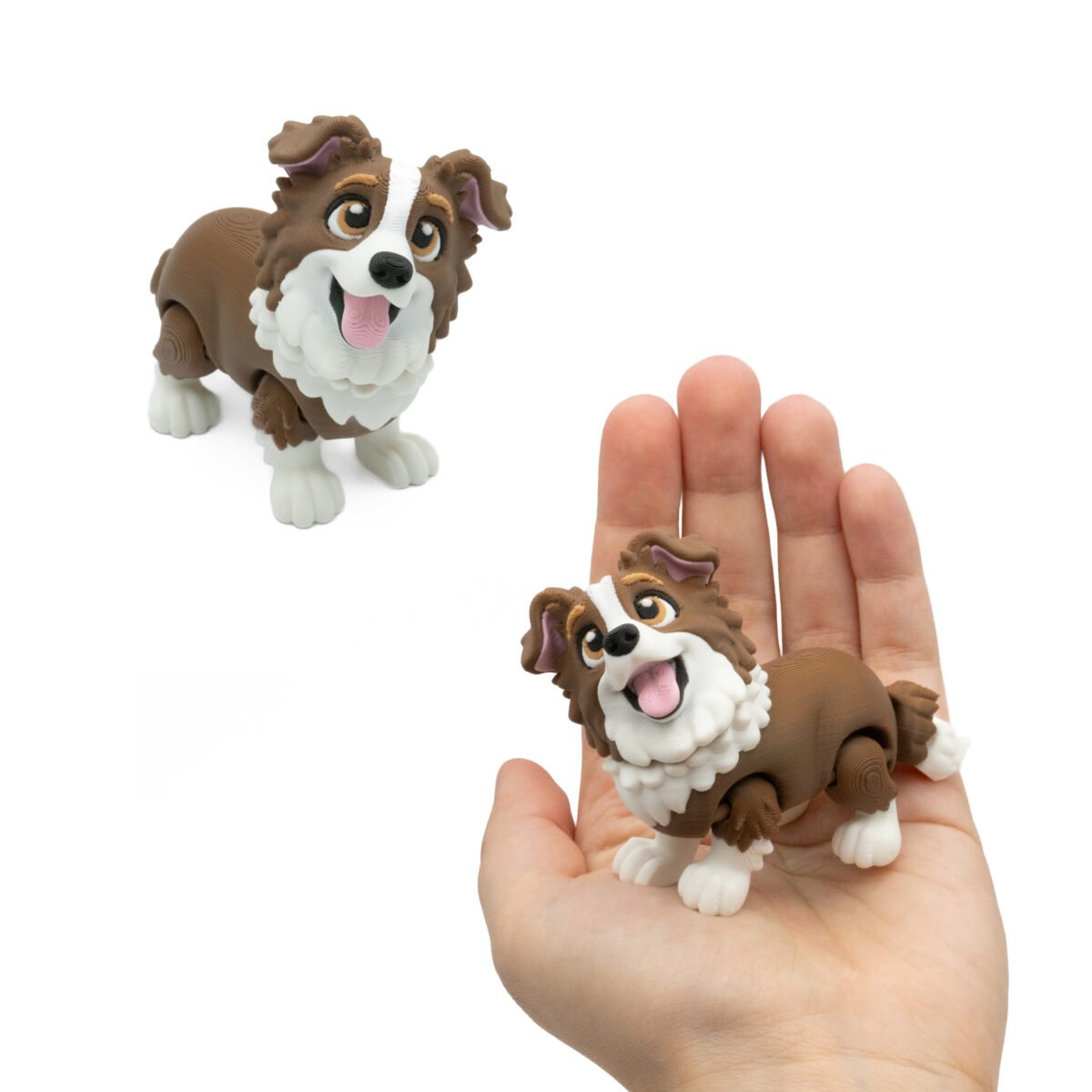 Brązowy Baby Pies Border Collie