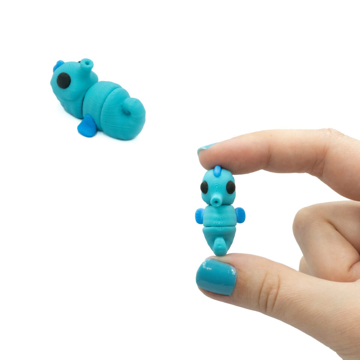 Konik Morski Minis