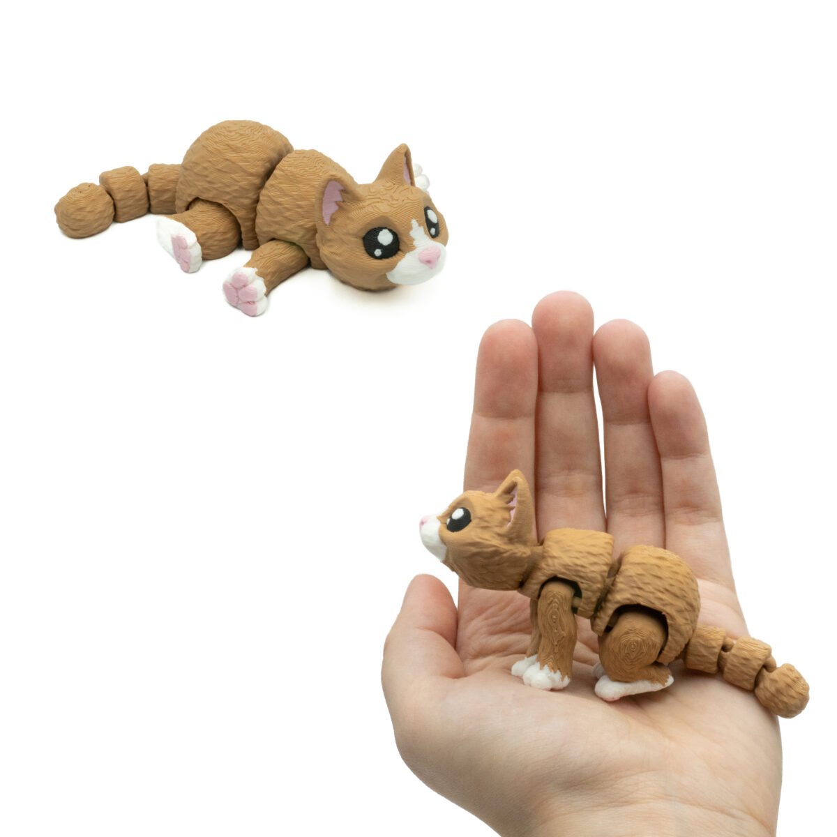 Baby Karmelowy Kot